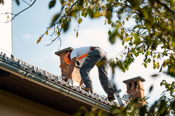Best Roof Maintenance Services  in Sylvan Lake, MI